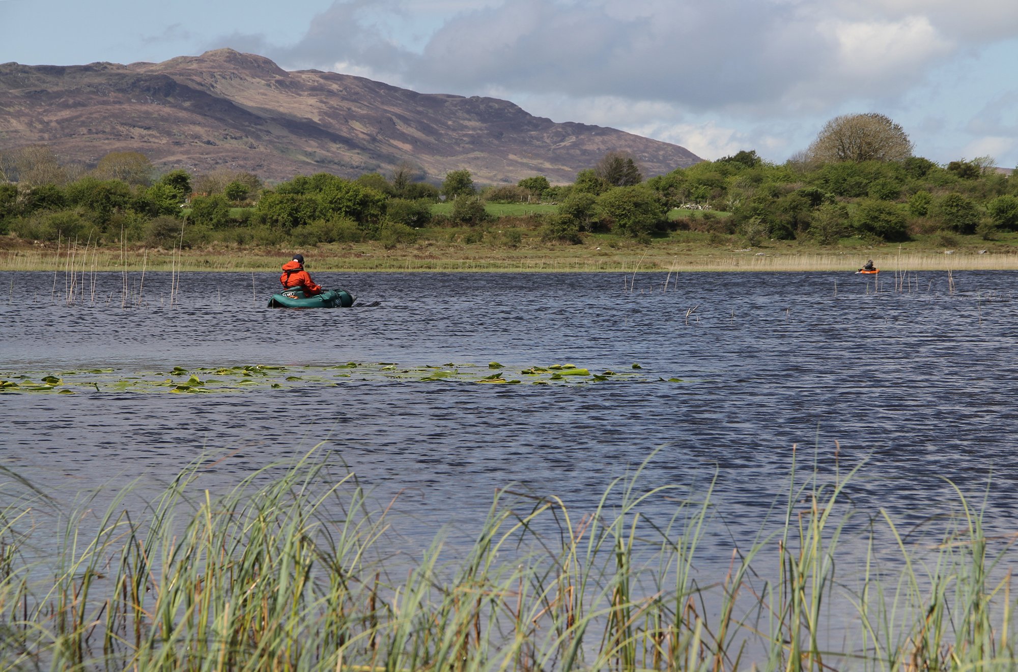 Snoekmeertje in Ierland