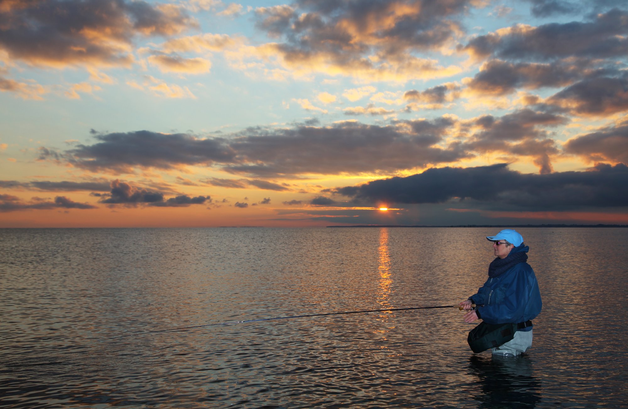 Denemarken zeeforelvissen